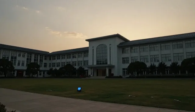 成本控制中的性能优化，如何提升技术支持效率