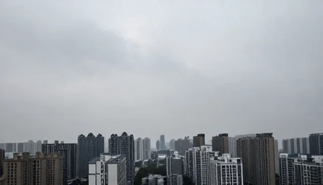 信息咨询服务选型的5大检查要点